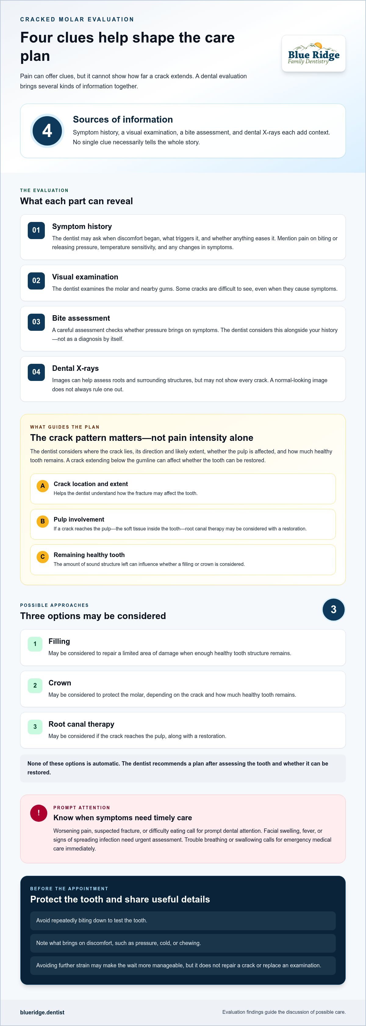 infographic infographic